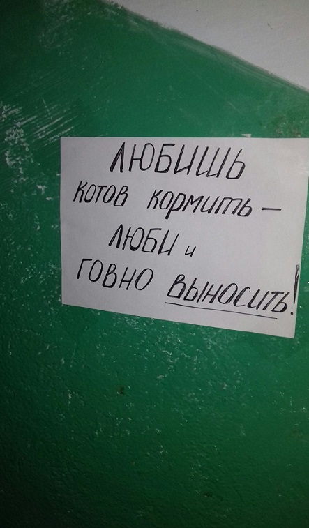 Подборка картинок. Забавных, прикольных - разных!