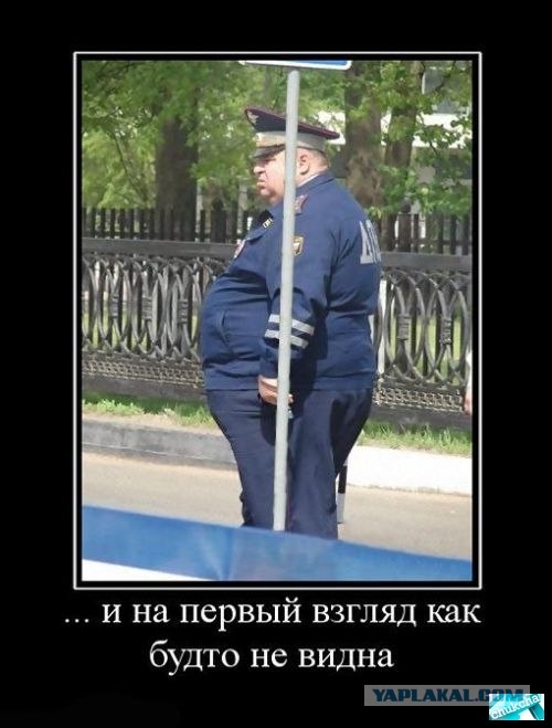 Взятки в ГАИ: в Москве произошел курьезный случай