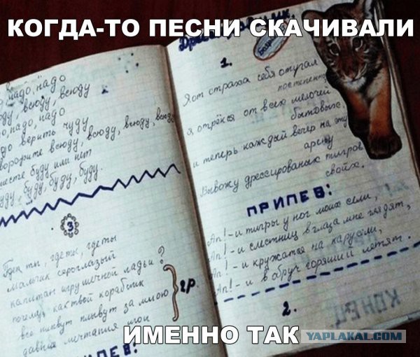 Прикольные картинки абавсём