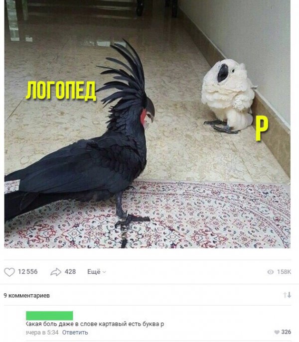 Нестандартный юмор