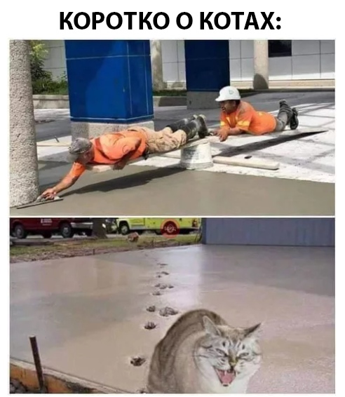 Нестандартный юмор