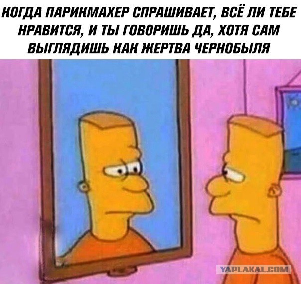 Смешные комментарии из социальных сетей 31.08.2018