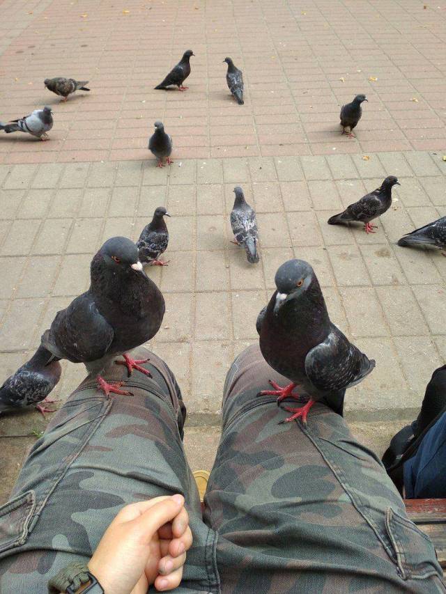 Не самый лучший день