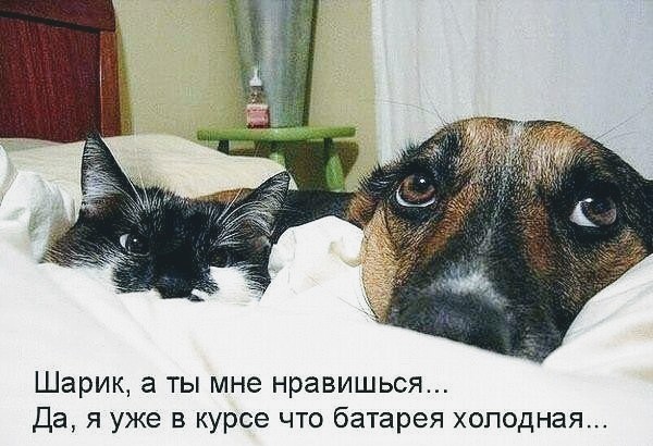 Немного картинок в этот понедельник