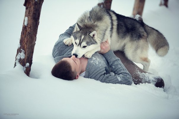 Милые животные. Мимиметр сломался