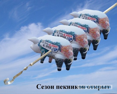 Свинчег парил над Дворцовой