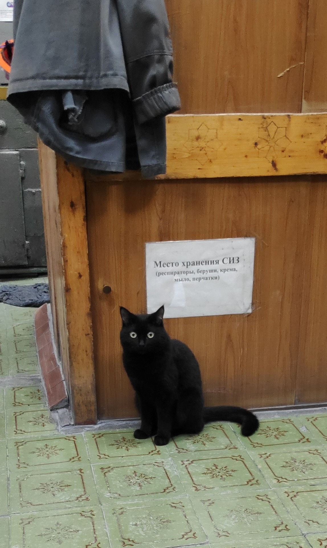 Котики на заводе