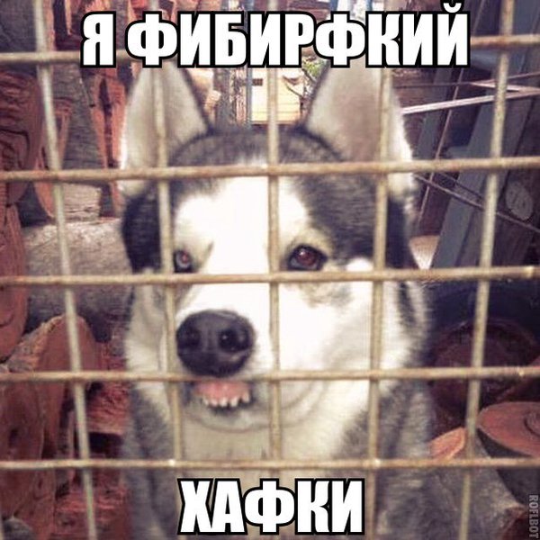 Улыбкой вдарим по дошираку