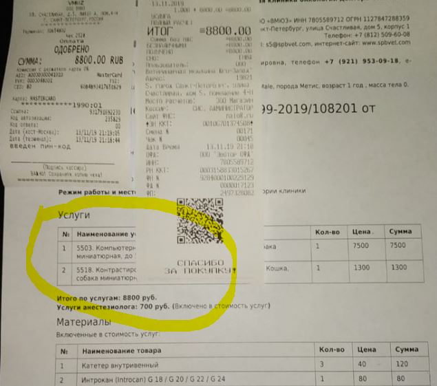Помогите вернуть кота! Приют "Преданное сердце" украл кота и не отдает!-2