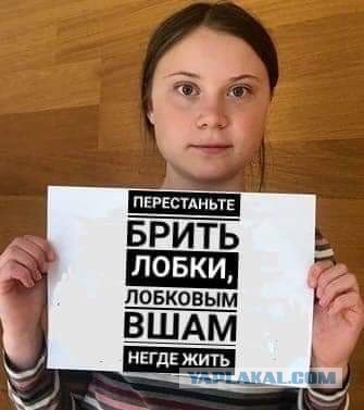 Картинки