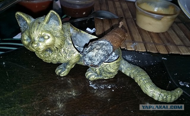 Давайте делиться фотками прошедшего дня