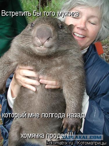 Что говорят мужчины о пышных женщинах