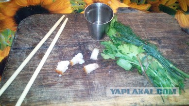 Почему нужно есть сало. Полезные свойства любимого народного продукта