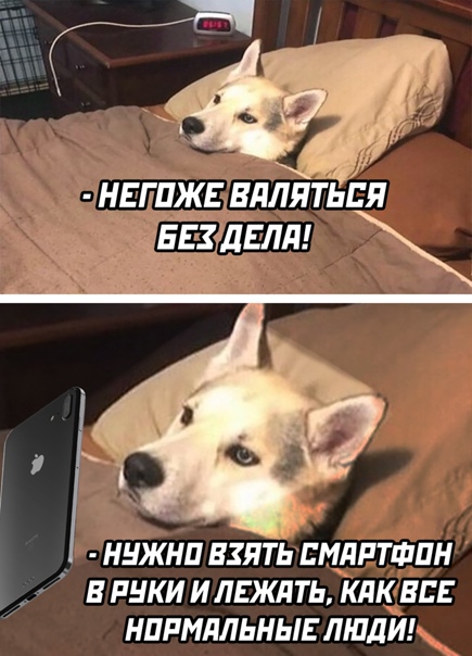 Картинки и мемы для настроения 027