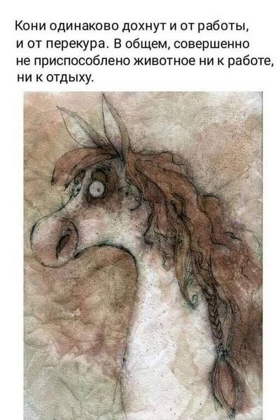Так себе картинки 24.02.21