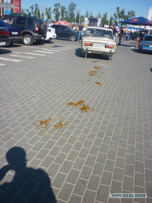 Месть хозяину собаки