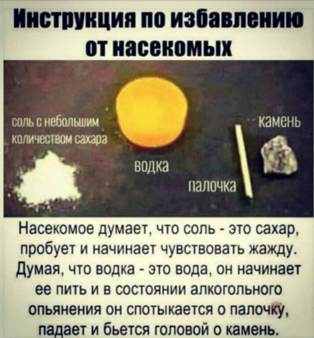 Различные  руководства и инфографики.