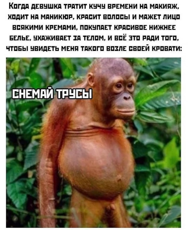 Юмор и прикольные картинки