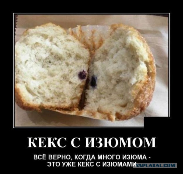 Весёлый полтишок 6.08