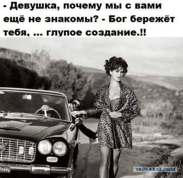 Так себе картинки 10.08.21