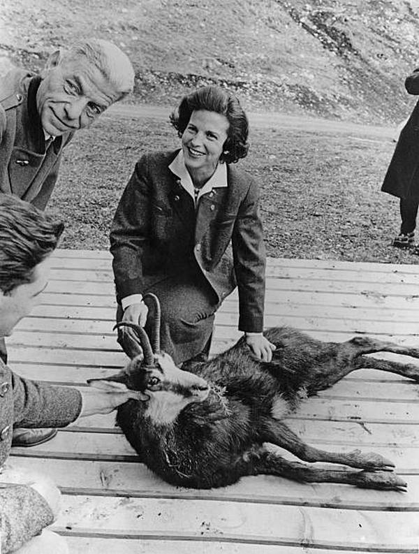 Ретро-Фото-Ассорти: 1950-1959 годы
