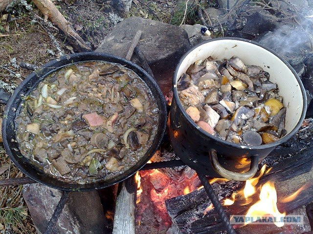 Моя Карелия