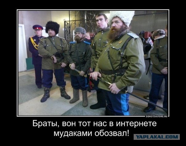 Никто не дискредитирует казаков так сильно... как сами казаки
