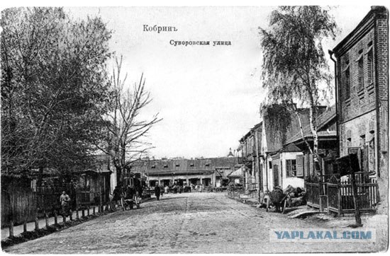 Кобрин, Беларусь