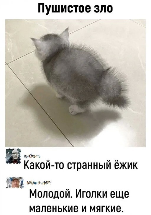 Картинки с надписями 17.06.22