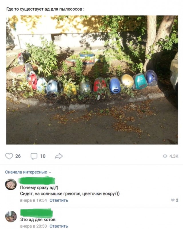 Так себе картинки 10.07.22