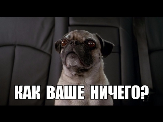 Плод любви