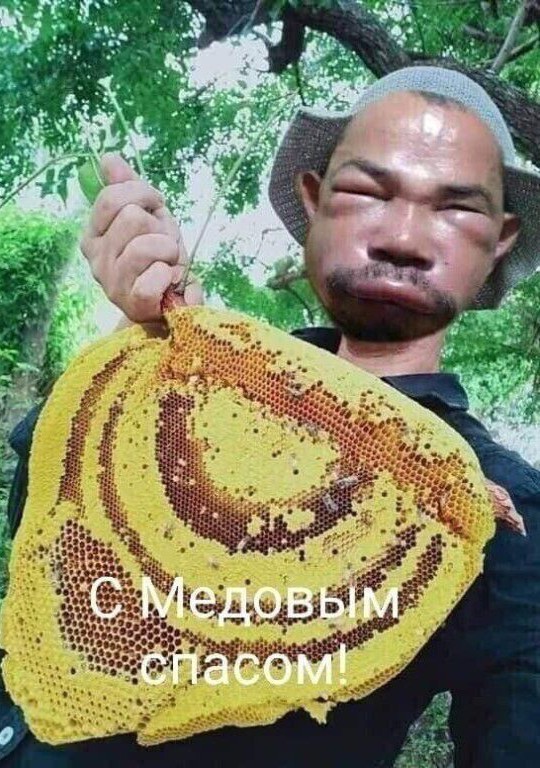 Какое последнее фото у вас в телефоне?