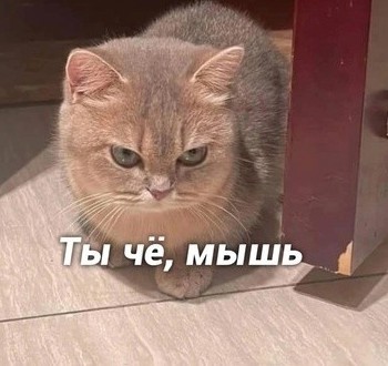 Как люди принимают доброту и вежливость за слабость