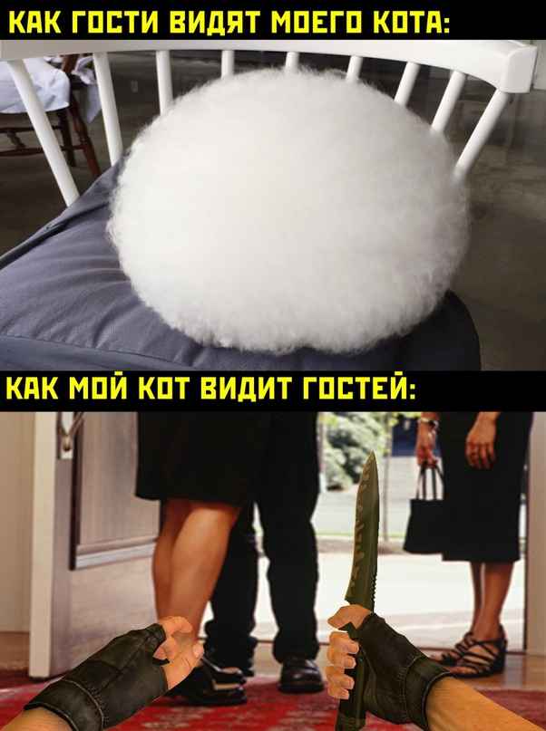 Так себе картинки 25.12.22