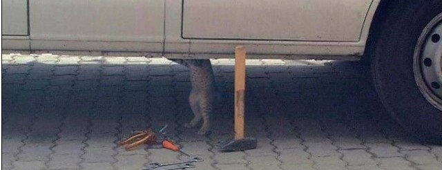 Как я стал жертвой обмана