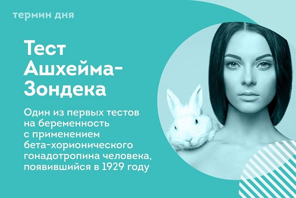 Победная поступь идиотизма по планете – том 11