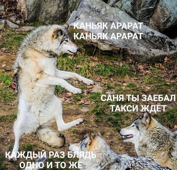 Картинки и мемы, это май-чародей всяко разно - 177