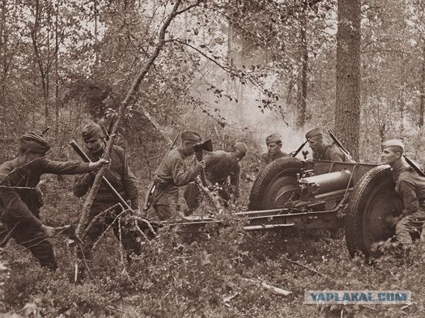 Фотографии Второй Мировой