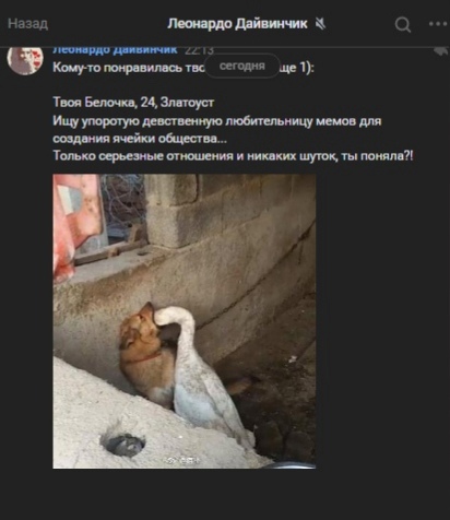 Постыдные скрины перлов с сайтов знакомств