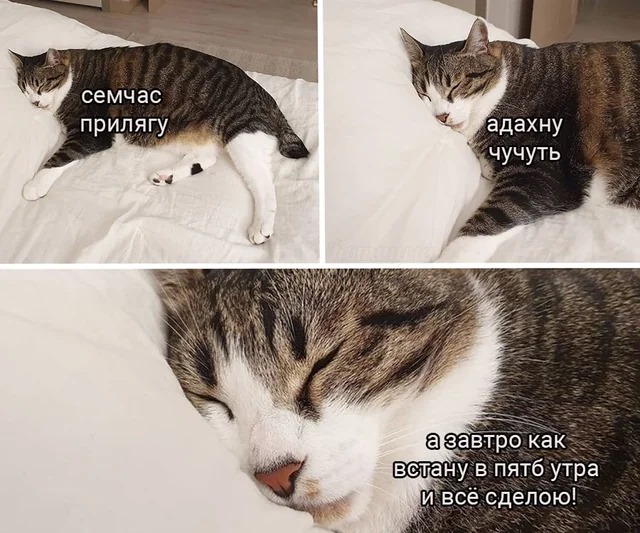 Субботнее улыбательное
