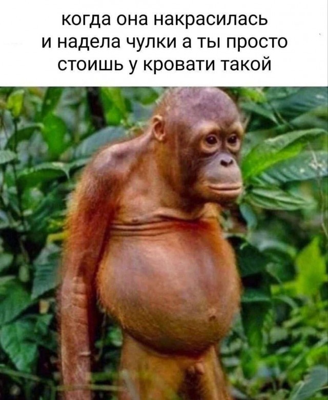 Мемчики и картинки для настроения и подумать