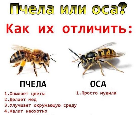 Как это, каждый день копаться в *овне?
