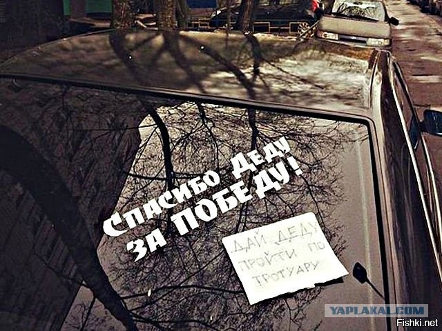 Собачники облюбовали для массовых прогулок бульвар в центре Челябинска. Теперь на него больно смотреть
