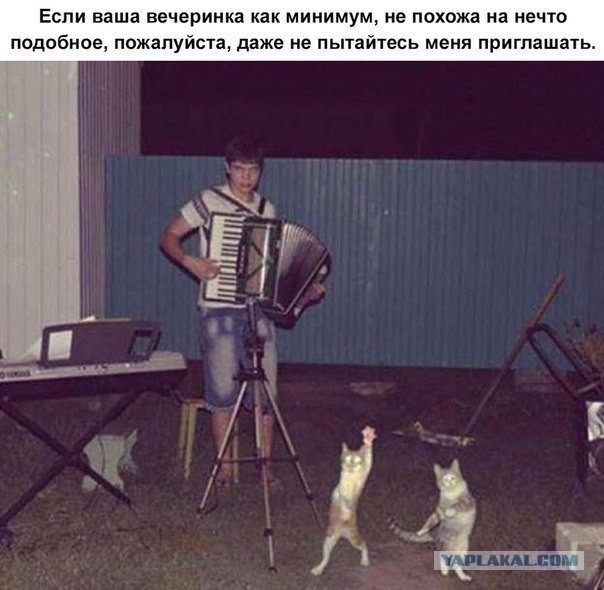 Не шутите с большими кисами, Лев напал на дрессировщика, Лев напал на дрессировщика