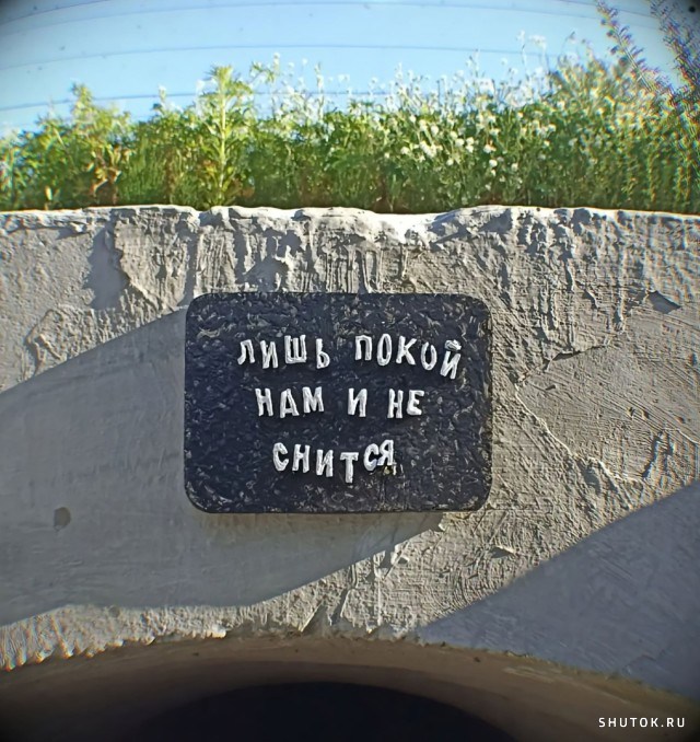 Так себе картинки 05.08.24