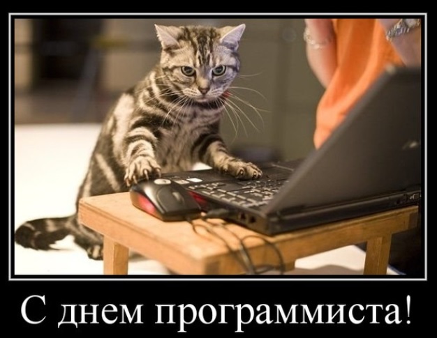 С праздником, программисты!