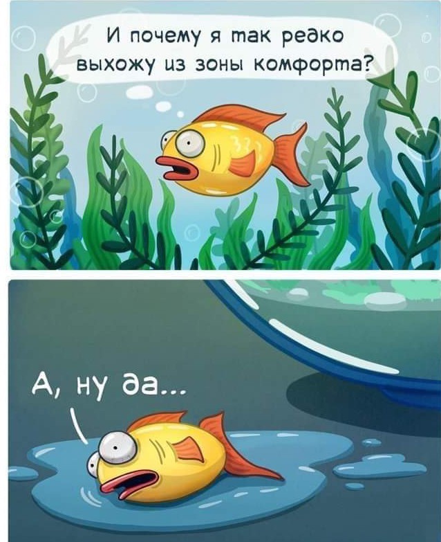 Так себе картинки 28.10.24