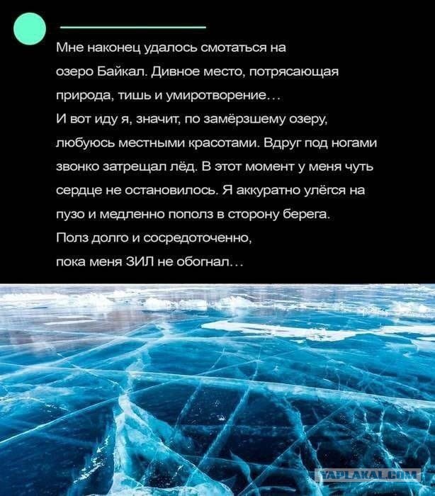 Так себе картинки 08.12.24