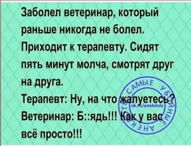Немного забавных картинок от 22.12.24