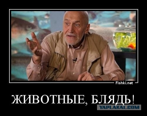 Как порно волосатость отменило⁠⁠